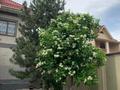 Жеке үй · 7 бөлме · 380.9 м² · 6.75 сот., мкр Таусамалы, Кулболды 75 — Жандосова, бағасы: 190 млн ₸ в Алматы, Наурызбайский р-н — фото 7