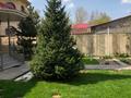 Жеке үй · 7 бөлме · 380.9 м² · 6.75 сот., мкр Таусамалы, Кулболды 75 — Жандосова, бағасы: 190 млн ₸ в Алматы, Наурызбайский р-н — фото 8
