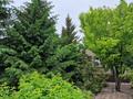 Жеке үй · 4 бөлме · 150 м² · 25 сот., Космонавтов 76, бағасы: 75 млн ₸ в Петропавловске — фото 4