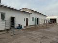 Свободное назначение · 150 м² за 150 000 ₸ в Таразе — фото 4