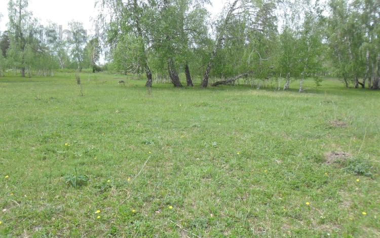 Жер телімі · 1 га, Акмолинская обл., Енбекшильдерский р-он, Ульгинский сельский округ, бағасы: ~ 4.9 млн ₸ — фото 2