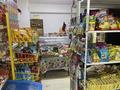 Магазины и бутики · 35 м² за 250 000 ₸ в Алматы, Жетысуский р-н — фото 2