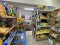 Магазины и бутики · 35 м² за 250 000 ₸ в Алматы, Жетысуский р-н — фото 3