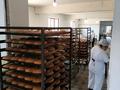 Офисы, общепит · 800 м² за 320 млн ₸ в Шымкенте, Абайский р-н — фото 3