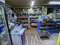 Офисы, магазины и бутики · 35 м² за 150 000 ₸ в Алматы, Наурызбайский р-н — фото 7