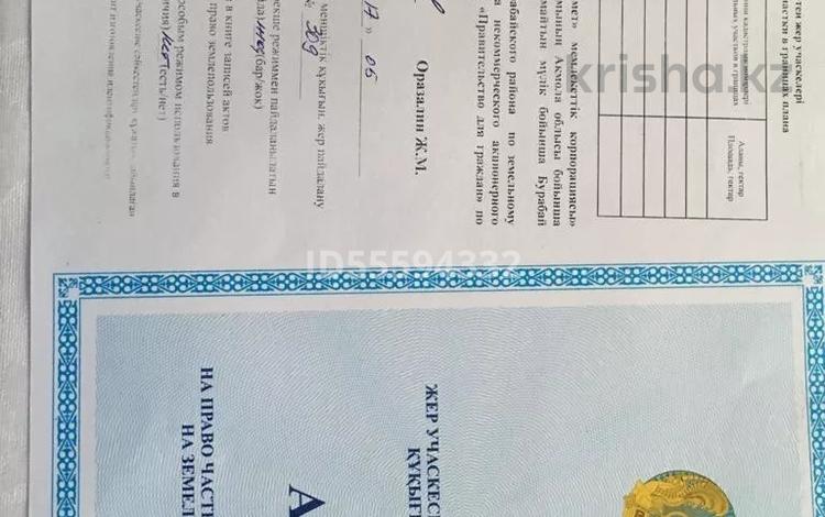 Жер телімі · 1 га, Бурабай (Боровое), бағасы: 93 млн ₸ — фото 2