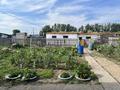 Отдельный дом · 3 комнаты · 113.3 м² · 11 сот., Октябрьская 23 — Село Приречное за 17 млн ₸ в Семее — фото 3