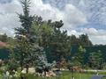 Отдельный дом · 4 комнаты · 100 м² · 12 сот., Куйбышевская роща 3 переулок к — Грин парк за 122 млн ₸ в Северо-Казахстанской обл. — фото 4