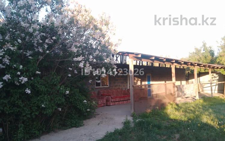 Отдельный дом · 3 комнаты · 70 м² · 6 сот., Остров Бейбитшилик (полковничий) 32 за 12.5 млн ₸ в Семее — фото 4