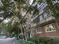 1-бөлмелі пәтер · 34.3 м² · 3/5 қабат, Карбышева 32, бағасы: ~ 16.6 млн ₸ в Усть-Каменогорске — фото 25