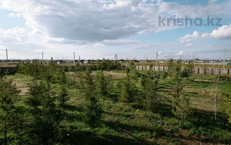 Жер телімі · 31 сотық, Косшы, бағасы: 46.5 млн ₸ — фото 2