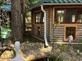 Дом · 8 комнат · 500 м², БСХТ за 400 000 ₸ в Щучинске — фото 18