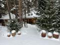Дом · 8 комнат · 500 м², БСХТ за 400 000 ₸ в Щучинске — фото 28