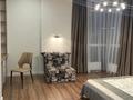 2-комнатная квартира · 47 м² · 9/18 этаж, Акмешит 1 за 500 000 ₸ в Астане, Есильский р-н — фото 4