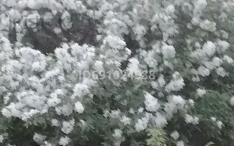 Отдельный дом · 5 комнат · 94 м² · 25 сот., Бурабайский р/н, ст. Жасыл — Между Щучинском и Макинкой за 4 млн 〒 — фото 2