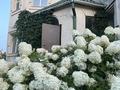 Жеке үй · 7 бөлме · 387 м² · 18 жүзд., Самал ( омега), бағасы: 90 млн ₸ в Уральске — фото 2