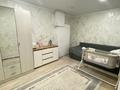 Отдельный дом · 2 комнаты · 40 м² · 6 сот., Восточный правый 810 за 6.5 млн ₸ в Семее — фото 6