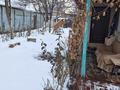 Отдельный дом · 3 комнаты · 70 м² · 5 сот., Зелинского за 300 000 〒 в Алматы, Жетысуский р-н — фото 9