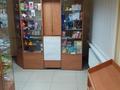 Магазины и бутики • 133 м² за 120 000 〒 в Павлодаре — фото 5