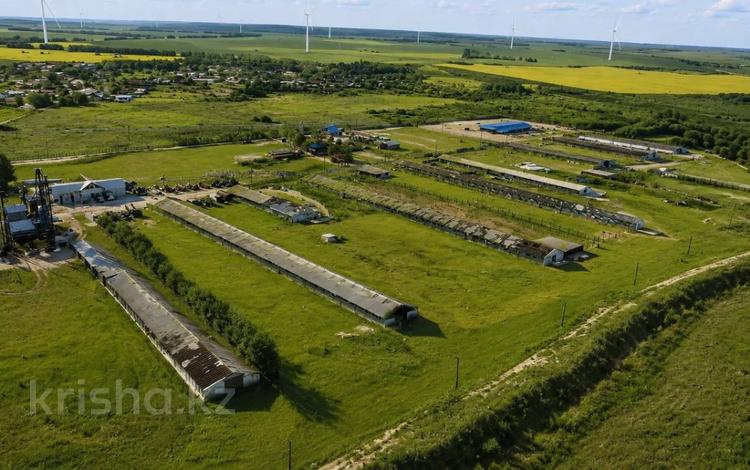 Жер телімі · 15600 сотық, С Молокановка 1, бағасы: 350 млн ₸ — фото 21