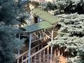 Отдельный дом · 6 комнат · 600 м² · 10 сот., мкр Горный Гигант за 2 млн ₸ в Алматы, Медеуский р-н — фото 67