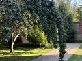 Отдельный дом · 6 комнат · 600 м² · 10 сот., мкр Горный Гигант за 2 млн ₸ в Алматы, Медеуский р-н — фото 75