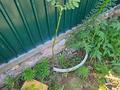 Отдельный дом · 3 комнаты · 100 м² · 5 сот., Боктер за больницей родом Школа садик рядом ЦОН. ПРОКУРАТУРА И СУД Всё всё рядом — Каусар Школа за Родомом и садиком государственный садик рядом Барыс ба за 200 000 ₸ в Каскелене — фото 10