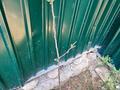 Отдельный дом · 3 комнаты · 100 м² · 5 сот., Боктер за больницей родом Школа садик рядом ЦОН. ПРОКУРАТУРА И СУД Всё всё рядом — Каусар Школа за Родомом и садиком государственный садик рядом Барыс ба за 200 000 ₸ в Каскелене — фото 7