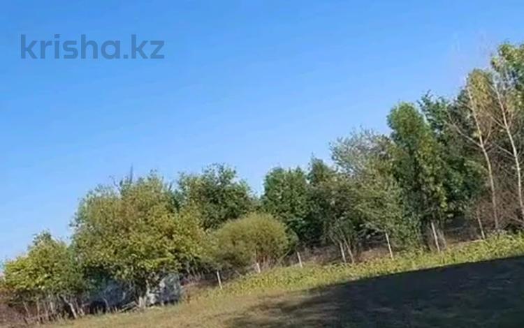 Участок · 8 соток, Октябрьская за 3 млн ₸ в Мичуринское — фото 2