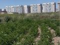Участок · 3.26 га, мкр Жас Канат за 2 млрд ₸ в Алматы, Турксибский р-н — фото 2