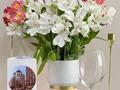 1-бөлмелі пәтер · 50 м² · 3/9 қабат, Радостовца 270, бағасы: 30 000 ₸ в Алматы, Бостандыкский р-н — фото 7