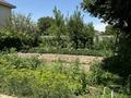 Отдельный дом · 7 комнат · 300 м² · 300 сот., Наурызбай батыра 91д за 87 млн ₸ в Узынагаш — фото 3