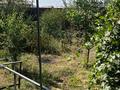 Часть дома · 4 комнаты · 200 м² · 6 сот., 23 — Место по солцем за 38 млн ₸ в  — фото 12