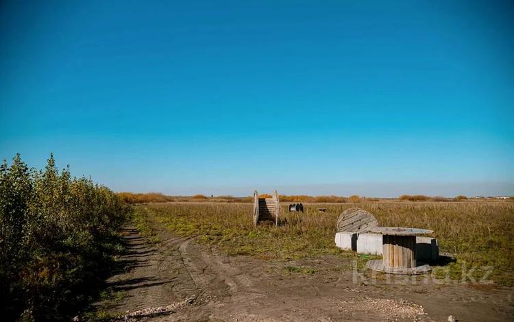 Участок · 8 соток, Косшы за ~ 4.4 млн 〒 — фото 2