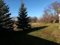 Отдельный дом · 7 комнат · 150 м² · 20 сот., Камалова 34 за 18 млн ₸ в Кызылжар — фото 8