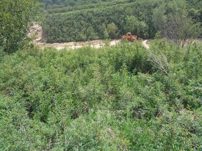Жер телімі · 5.19 га, мкр Карагайлы, бағасы: 265 млн ₸ в Алматы, Наурызбайский р-н