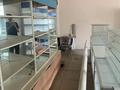 Еркін · 81 м², бағасы: 400 000 ₸ в Алматы, Наурызбайский р-н — фото 11