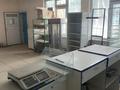 Еркін · 81 м², бағасы: 400 000 ₸ в Алматы, Наурызбайский р-н — фото 8