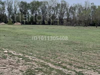 Участок · 1 га, Құшата — Кентау трасса за 35 млн ₸ в Туркестане