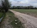 Участок · 1 га, Құшата — Кентау трасса за 35 млн ₸ в Туркестане — фото 3