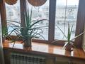 3-комнатная квартира · 59.4 м² · 3/5 этаж, Проспект Жамбыла 123 за 19 млн ₸ в Таразе — фото 6