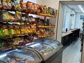 Свободное назначение, магазины и бутики · 132 м² за 175 млн ₸ в Астане, р-н Байконур — фото 7