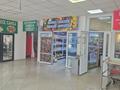 Медцентры и аптеки · 36 м² за 100 000 ₸ в Алматы, Наурызбайский р-н — фото 8