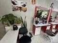 Отдельный дом · 6 комнат · 200 м² · 10 сот., мкр Калкаман-2, Сагатова -14 14 — Сагатова -14 за 120 млн ₸ в Алматы, Наурызбайский р-н — фото 15