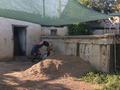 Отдельный дом · 3 комнаты · 52 м² · 7.28 сот., Домостроительная 30 — Кайнар Булак за 16 млн ₸ в Шымкенте, Аль-Фарабийский р-н — фото 12