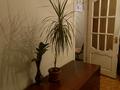 3-бөлмелі пәтер · 58 м² · 1/4 қабат, мкр №8 34 — Шаляпина -Алтынсарина, бағасы: 30 млн ₸ в Алматы, Ауэзовский р-н — фото 8