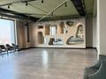 Свободное назначение · 798 м² за 900 млн ₸ в Алматы, Медеуский р-н — фото 49