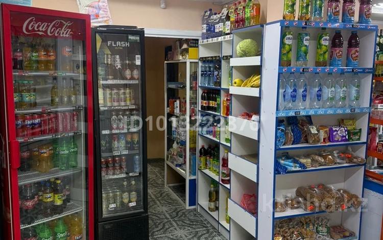 Продуктовый магазин · 54 м², бағасы: 29 млн ₸ в Караганде, Алихана Бокейханова р-н — фото 2