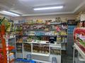 Продуктовый магазин · 54 м², бағасы: 29 млн ₸ в Караганде, Алихана Бокейханова р-н — фото 7
