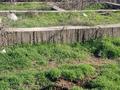 Участок · 6 соток, Надежда 45 — Возле Акимата за 4.5 млн ₸ в Шымкенте